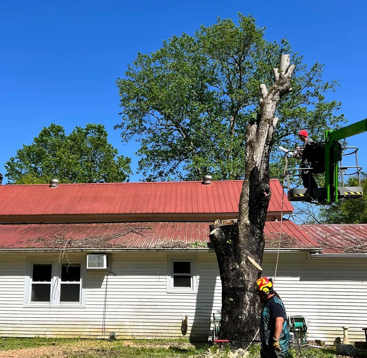 Tree Service An arborist in a lift cuts branches from a large tree beside a white house with a red roof, while another worker on the ground manages a rope. It’s a sunny day with clear blue sky—perfect weather for expert tree care. Middle Tennesseer