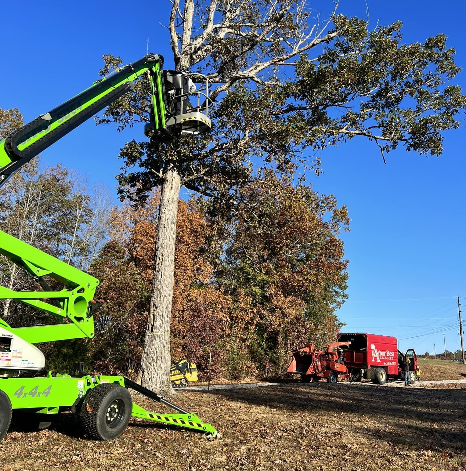 Tree Service An arborist uses a green boom lift to trim branches from a tall tree, while a red wood chipper truck is parked nearby on a sunny day with a clear blue sky. Middle Tennesseer